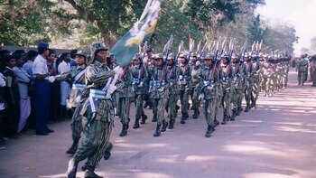 Desfile militar de una división