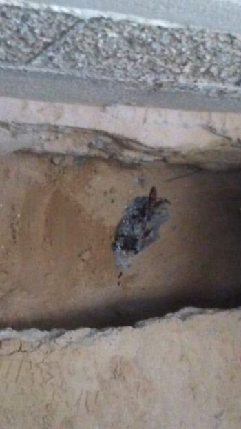 Por fortuna el hombre fue