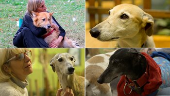 Otras historias de amor. Un