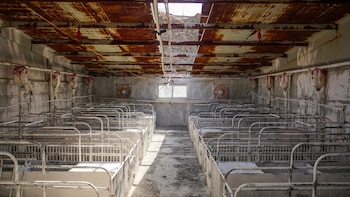 Wangaofa Animal Husbandry Development Company