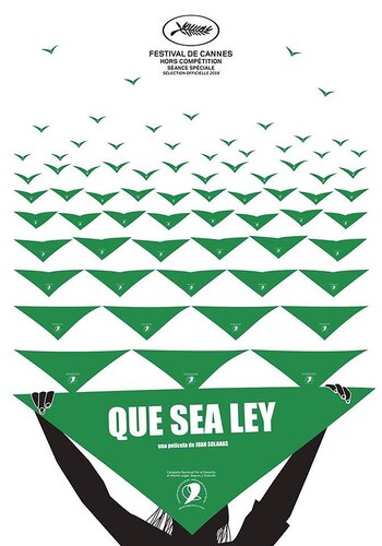 Afiche del documental “Que sea ley”