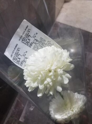 Jazmín y otros dos amigos