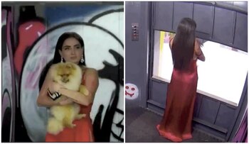 La llegada de Celia Lora