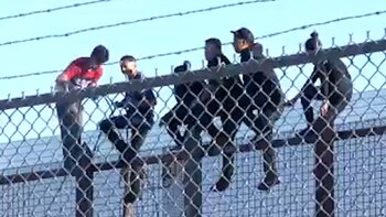 Analistas señalan que los migrantes