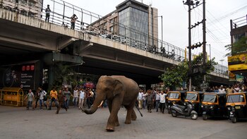 Pobladores y personal forestal y