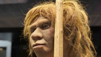 El homo de Denisova, en