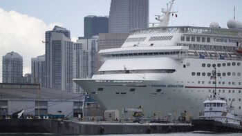 Se espera que sean cientos