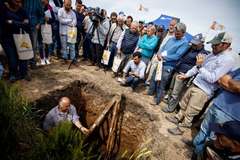 Los especialistas están trabajando en