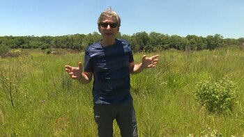 El periodista Sergio Federovisky recorrió