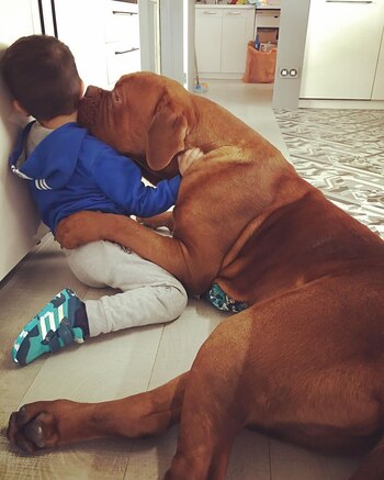 11 febrero 2017 (@antonelaroccuzzo)