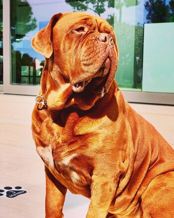 18 de marzo 2019 (@antonelaroccuzzo)