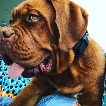 20 de mayo 2016 (@antonelaroccuzzo)