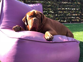 21 febrero 2018 (@antonelaroccuzzo)