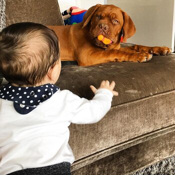 23 de abril 2016 (@antonelaroccuzzo)