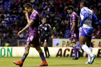 Caras largas entre los tiburones