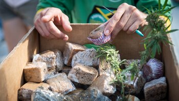 México y Argentina son dos