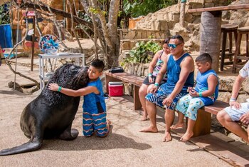 Durante este fin de semana, Andrick y su hermano conocieron a un león marino (Foto: Twitter @PuertoVallarta)