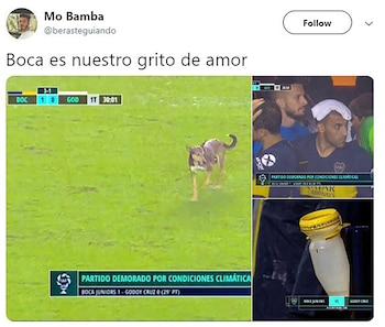Imagen O73N2JR5RBGTBOOA52OPPFKPB4