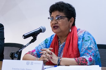 La procuradora capitalina Ernestina Godoy