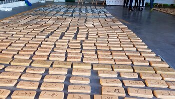 Parte del lote de droga: