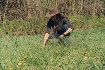 Kansas (Barrett Emke/The New York