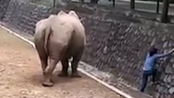 Los responsables del parque explicaron