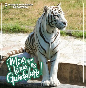 En el parque conviven más