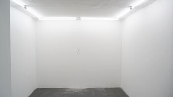 Los disparos en la pared