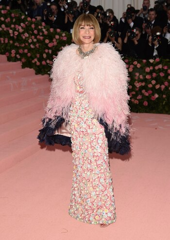 Anna Winter llega a la