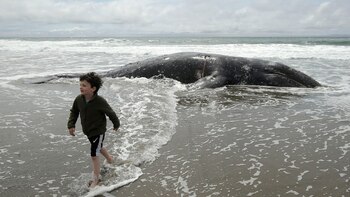 Un niño, Saul Parker, camina