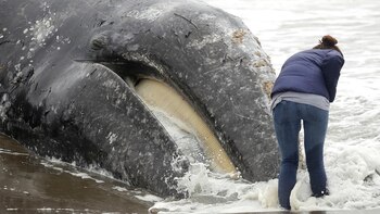 Una mujer mira la cara
