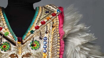 Animalia está en el Museo