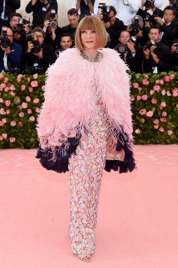 Anna Wintour por Dior.
