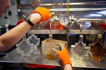 La estrella principal en el