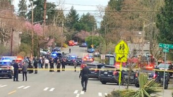 Los autores del ataque eran