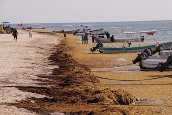 Se necesitan acciones de corto