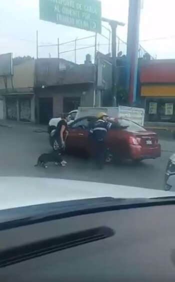 El policía regresó a sus labores hasta que estuvieron a salvo a la rescatista y el perro (Foto. archivo)