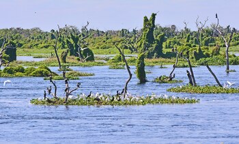 Esta maravilla puede visitarse en