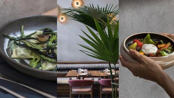 Fine dining, vegano en el