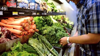 Advierten que se está destruyendo