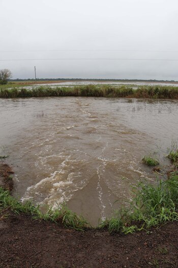 El gobernador de la provincia