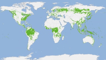 (Captura de pantalla)