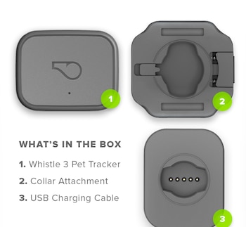 El set de Whistle, que