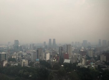 La gran mayoría de usuarios