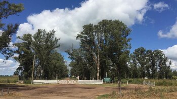 Cuatro mil hectáreas en la