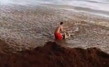 Las imágenes muestran la crisis