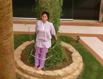 De acuerdo con la compañera