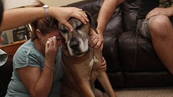 “Necesitamos que este mensaje dé