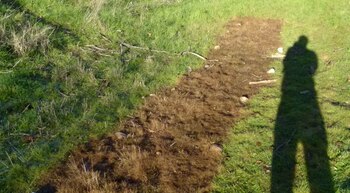 Tratamiento de Wood Vinegar en