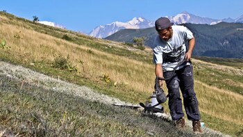 El pasto debe tener un